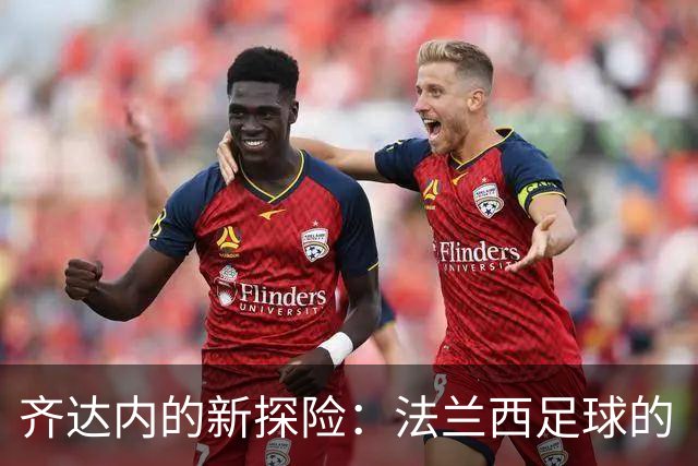 齐达内的新探险：法兰西足球的“改头换面”之旅